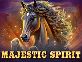 Majestic Spirit game cover