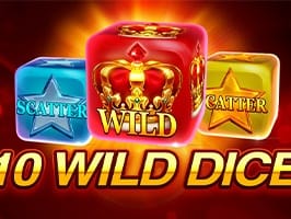 10 Wild Dice game cover